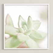 "Soft Succulent No. 3" - Art Print in Soft Sage by Andi Pahl - Framed