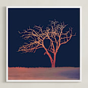 "Sunset Tree" - Art Print in Midnight Blue by Erin Niehenke - Framed