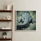 "Basking Florida Gator" - Art Print in Emerald Green by Kate Ross - In a Room