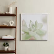 "Soft Succulent No. 3" - Art Print in Soft Sage by Andi Pahl - In a Room