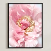 "Bego peony photo" - Art Print in Blush by Rosana Laiz Blursbyai - Framed