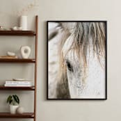 "Wild Horse Eye" - Art Print in Cafe Cream by Michelle Detering - In a Room