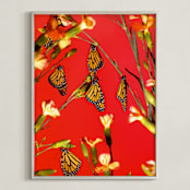 "Monarch Butterflies Sunset 2" - Art Print in Sunset Red by Elena Kulikova - Framed