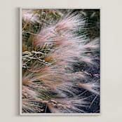 "Alaska Flora" - Art Print in Alaska Flora by Salina Mack - Framed