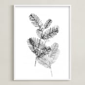 "Redwood" - Art Print in Black & White by Ashleigh Ninos - Framed