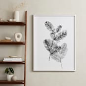 "Redwood" - Art Print in Black & White by Ashleigh Ninos - In a Room