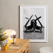 "Sky Bird ~ 4" - Art Print in Black by Janet Cruz - In a Room