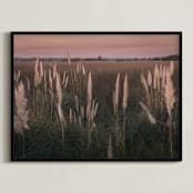 "Pampas grass" - Art Print in Sunset by Lucia Coppola - Framed