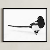 "Magpie" - Art Print in black bird by Leslie Le Coq - Framed