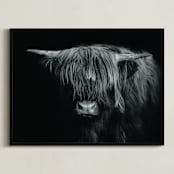 "Majestic Gaze" - Art Print in Black and White by Stephanie Brown - Framed