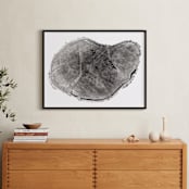 "Tree Rings pt. 1" - Art Print in Black by Mackenzie Darrach - In a Room