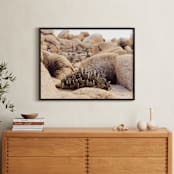 "Desert Daze" - Art Print in Desert Orange by Briana Grace - In a Room