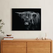 "Majestic Gaze" - Art Print in Black and White by Stephanie Brown - In a Room