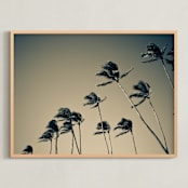 "island palms no.1" - Art Print in sky by Monica Gussow - Framed