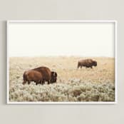 "Bison" - Art Print in Mustard by Kamala Nahas - Framed
