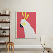 "Hello Cocky! " - Art Print in Coral by Catherine Culvenor - In a Room