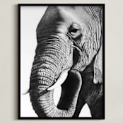 "Face of an Elephant" - Art Print in Graphite Gray by Jerry Winick - Framed
