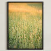 "Sunset Field" - Art Print in Sunset by Sara Heilwagen - Framed