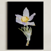 "Member 3" - Art Print in light violet by Shannon - Framed