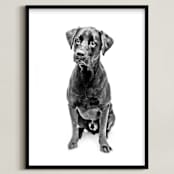 "Happy Lab" - Art Print in Black and White by Katrina Leandro - Framed
