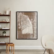 "Contemporary Botanical Series 3" - Art Print in Bronze by Angela Simeone - In a Room