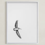 "Gliding Pelican Over Lake" - Art Print in Monochrome by Mary Ann Glynn-Tusa - Framed