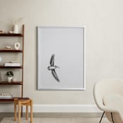 "Gliding Pelican Over Lake" - Art Print in Monochrome by Mary Ann Glynn-Tusa - In a Room
