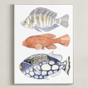 "Three Fish" - Art Print in tangerine by Natalie Groves - Framed Canvas