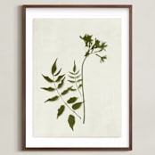 "Foraged II" - Art Print in Verdant by Kamala Nahas - Framed