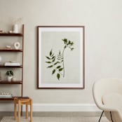 "Foraged II" - Art Print in Verdant by Kamala Nahas - In a Room