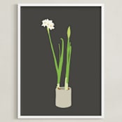 "Paperwhites" - Art Print in Charcoal by Jorey Hurley - Framed