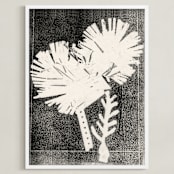 "Paper Flowers 2" - Art Print in Black and White by Angela Simeone - Framed