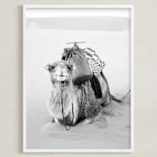 "Smiles in the Sahara" - Art Print in Fog by Jamie Lollback - Framed