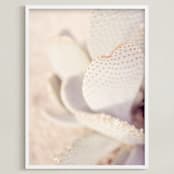 "Painted Cactus" - Art Print in Ole Pink by Tania Medeiros - Framed