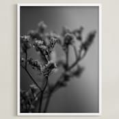 "dried blooms" - Art Print in Black and white by Danielle LaRose - Framed