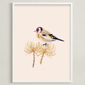 "Goldfinch 1" - Art Print in being with rose tint by Nina Leth - Framed