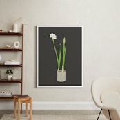 "Paperwhites" - Art Print in Charcoal by Jorey Hurley - In a Room