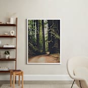 "Walk Into the Woods" - Art Print in Forest Brown by Bente Jorgensen-Barajas - In a Room