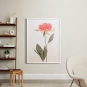 "a pink peony standing gracefully" - Art Print in vintage roseate by Qing Ji - In a Room