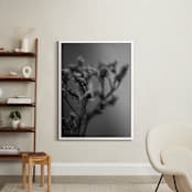 "dried blooms" - Art Print in Black and white by Danielle LaRose - In a Room