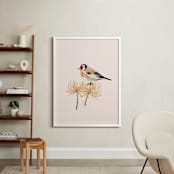 "Goldfinch 1" - Art Print in being with rose tint by Nina Leth - In a Room
