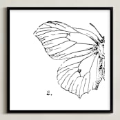 "Moth No. 2" - Art Print in Jet Black by Mere Paper - Framed