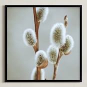 "Fuzzy Catkins" - Art Print in Could grey by Johanna Phillips Huuva - Framed