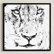 "mr LION" - Art Print in black and white by Gail Schechter - Framed