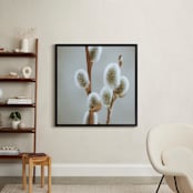 "Fuzzy Catkins" - Art Print in Could grey by Johanna Phillips Huuva - In a Room