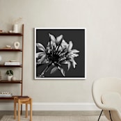 "Plumeria in the Hawaiian Sun" - Art Print in Strong Black and White by Rasa Puzinaite - In a Room
