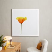 "California Poppy" - Art Print in Sparkling White by Corinne Aelbers - In a Room
