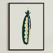 "Pea Pod - Vegetable" - Art Print in Pale Grey by Simi Gauba - Framed
