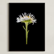 "Member 6" - Art Print in spring green by Shannon - Framed