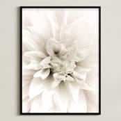 "Soft Dahlia Study 1" - Art Print in dahlia pink by Julie Blackwood - Framed